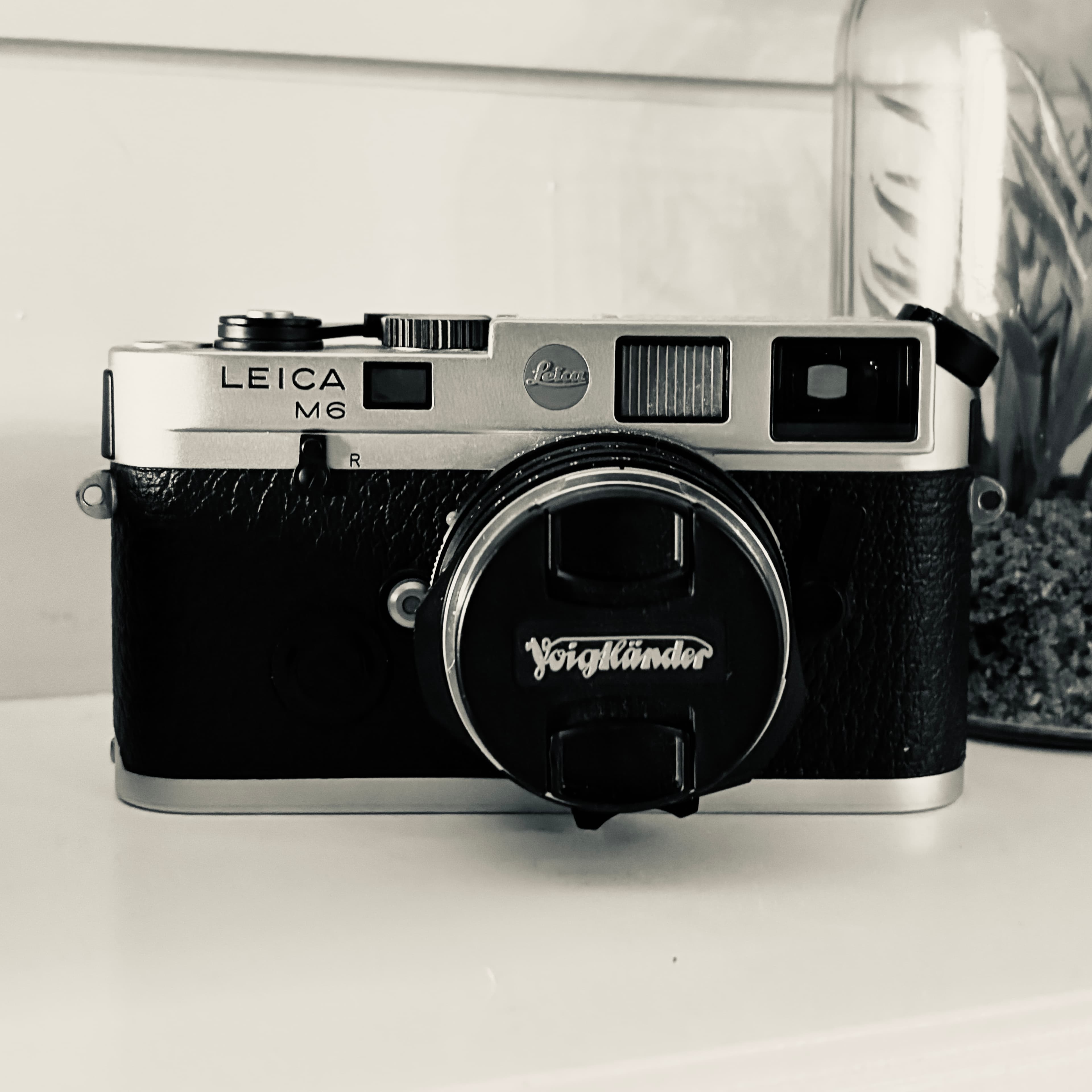 Leica Love: a choice